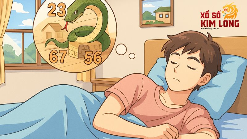 Mỗi giấc mơ về rắn gợi ra một con số mang lại hy vọng