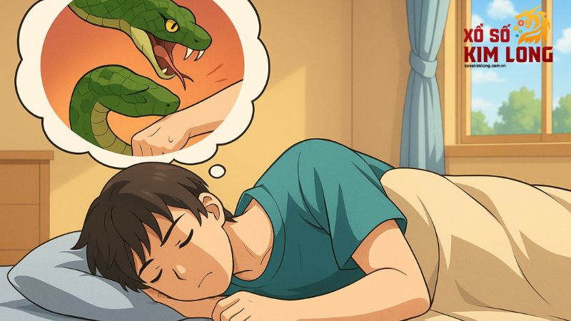 Giải mã ý nghĩa nằm mơ thấy rắn cắn kèm con số may mắn